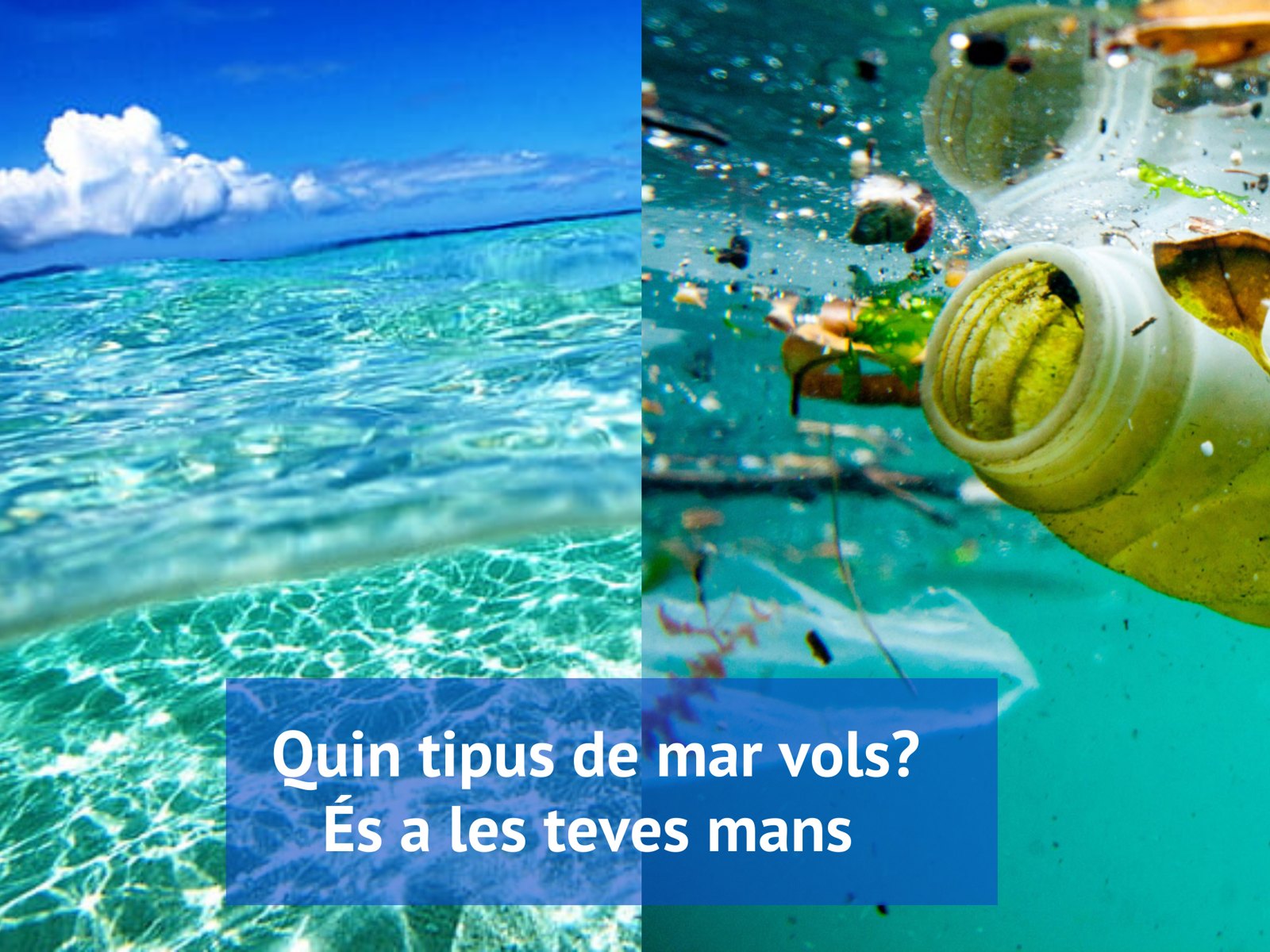 Cartell ambiental Montgat Net